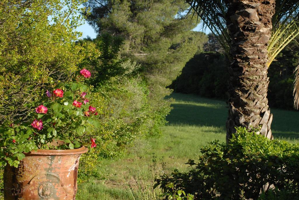 La Bellonette Marseillan  Dış mekan fotoğraf